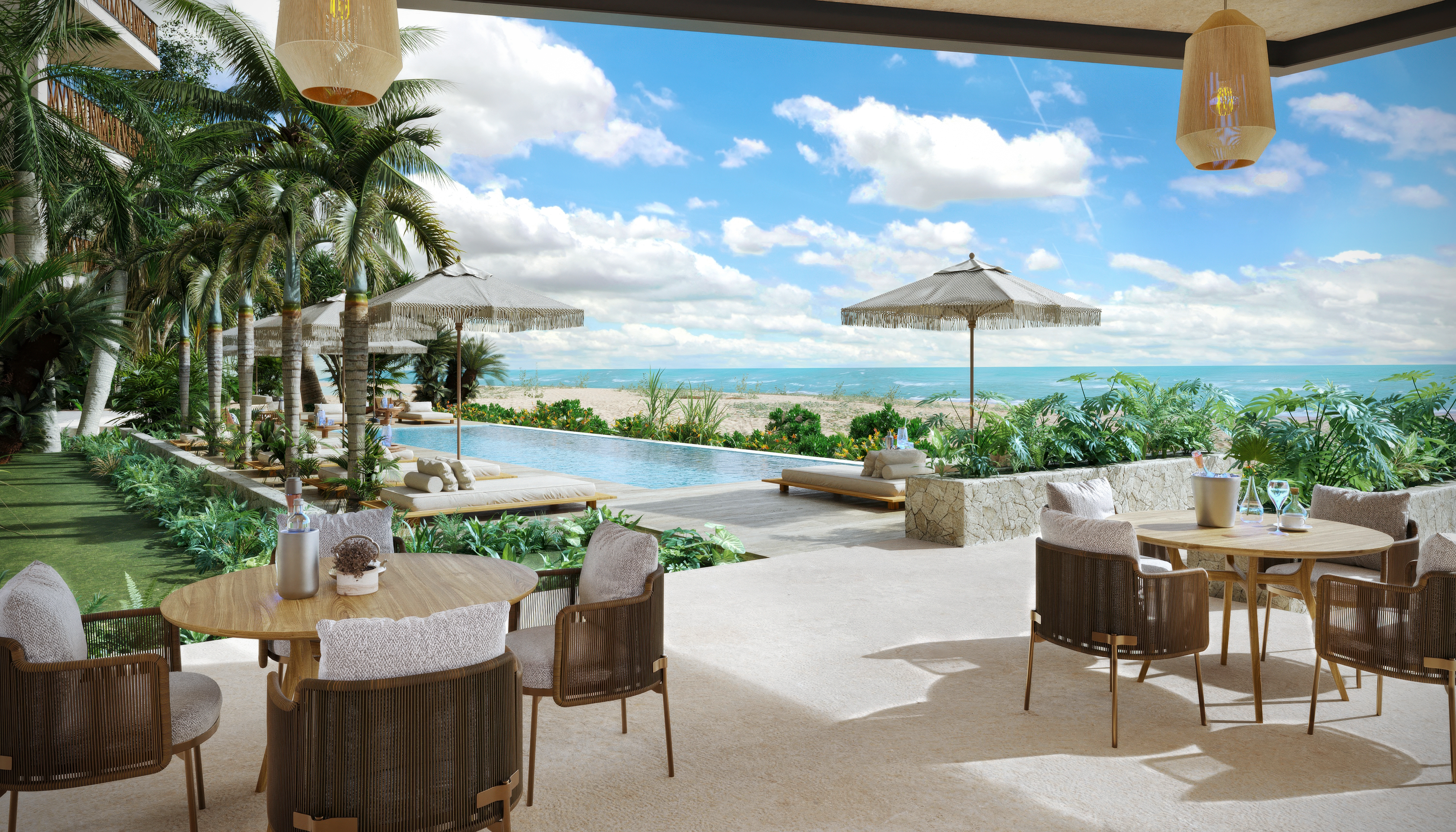 Flamencos en el manglar de Sisal